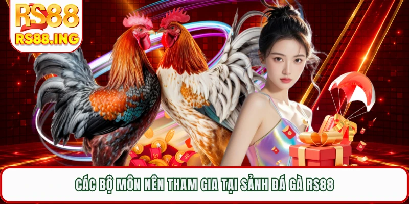 Các bộ môn nên tham gia tại sảnh đá gà RS88