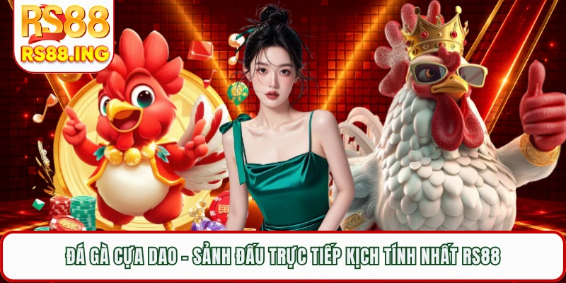 Đá Gà Cựa Dao - Sảnh Đấu Trực Tiếp Kịch Tính Nhất RS88