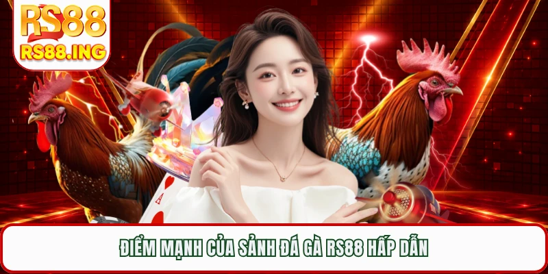 Điểm mạnh của sảnh đá gà RS88 hấp dẫn