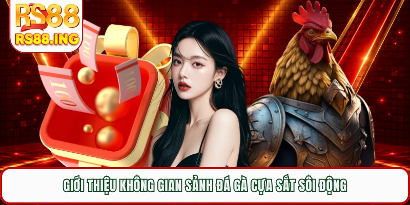 Giới thiệu không gian sảnh đá gà cựa sắt sôi động