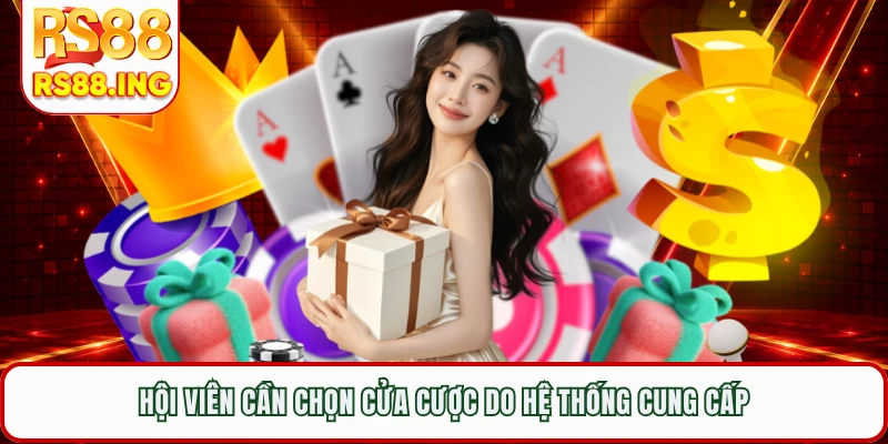 Hội viên cần chọn cửa cược do hệ thống cung cấp