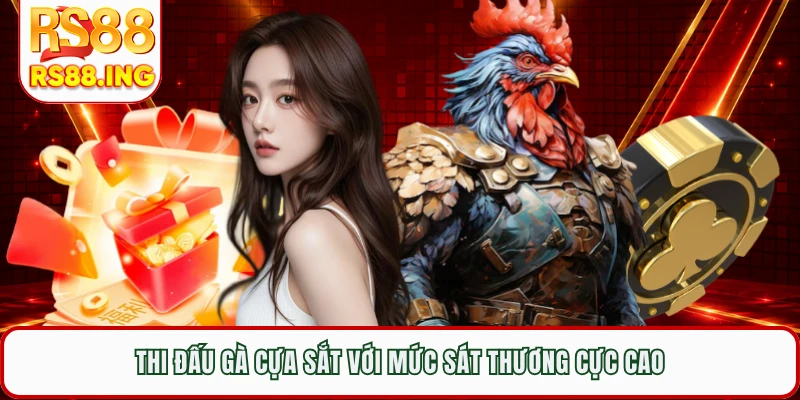 Thi đấu gà cựa sắt với mức sát thương cực cao