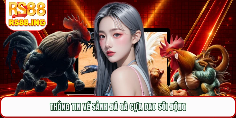 Thông tin về sảnh đá gà cựa dao sôi động